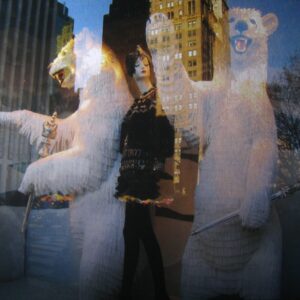 Polar Bear Salut