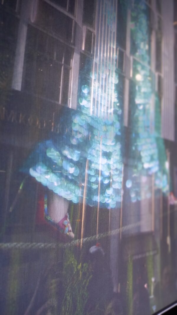 Step lightly 3 - Image 3